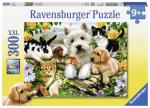 Puzzle 300d