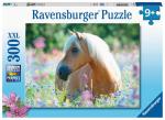 Puzzle 300d