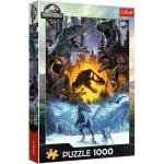 Puzzle 1000d